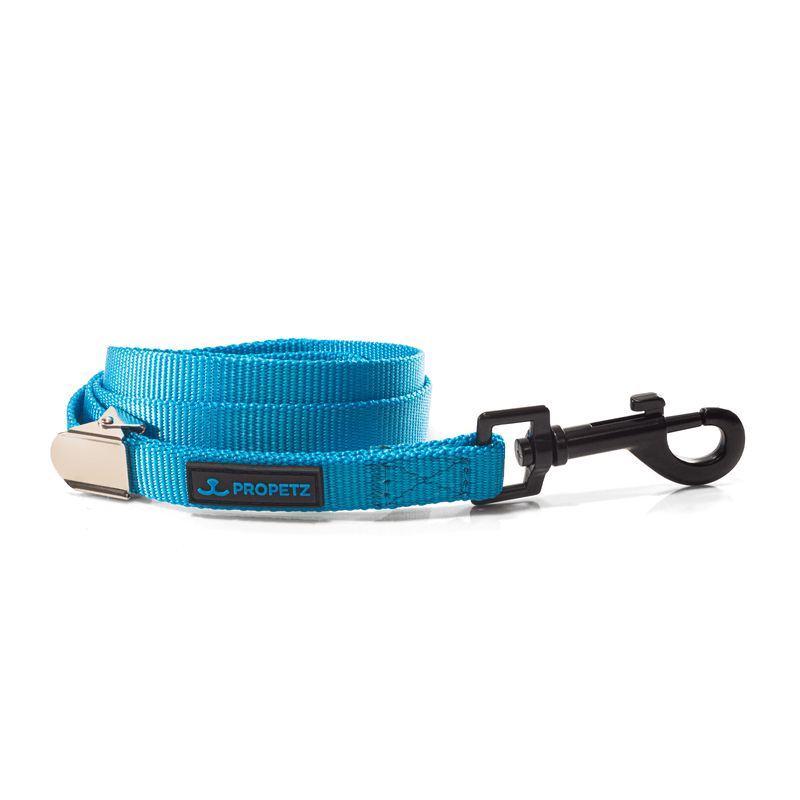 Guia-de-Cachorro-em-Nylon-45cm-Azul---Propetz