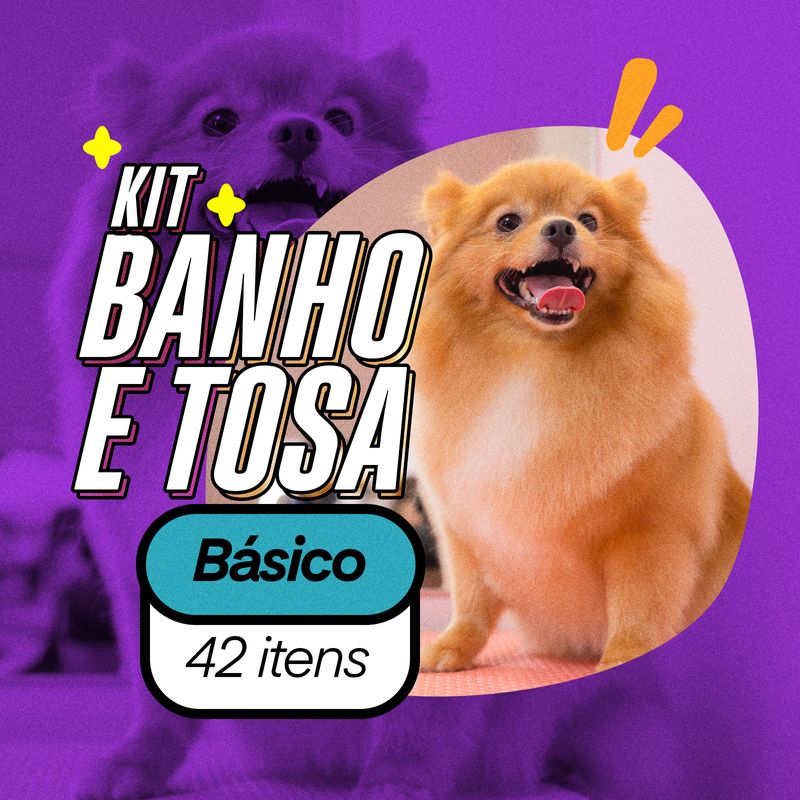 KIT_BASICO