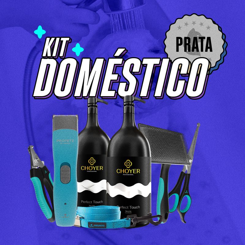 KITDOMESTICO_PRATA