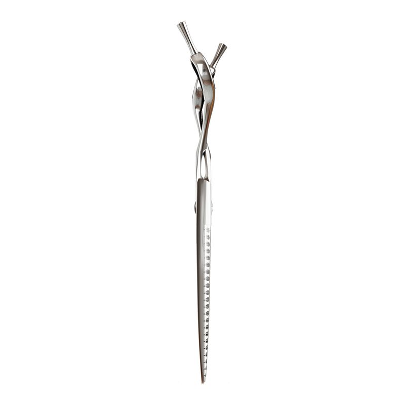 Tubarao_lateral